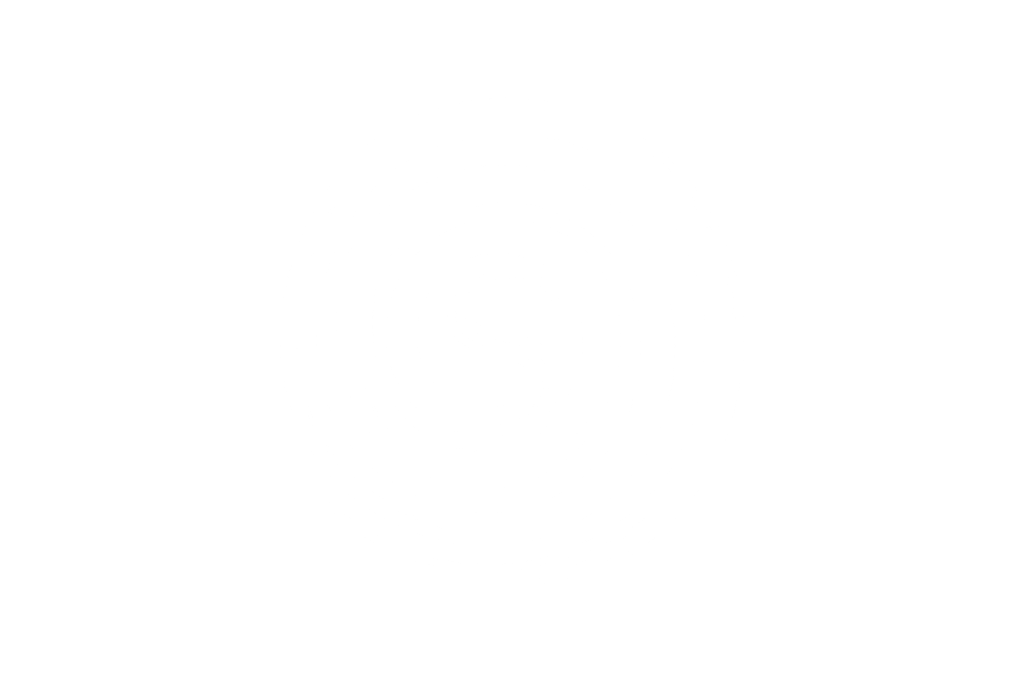 The logo of this Company - a winding path beginning with the letter S opens into a spiral. 